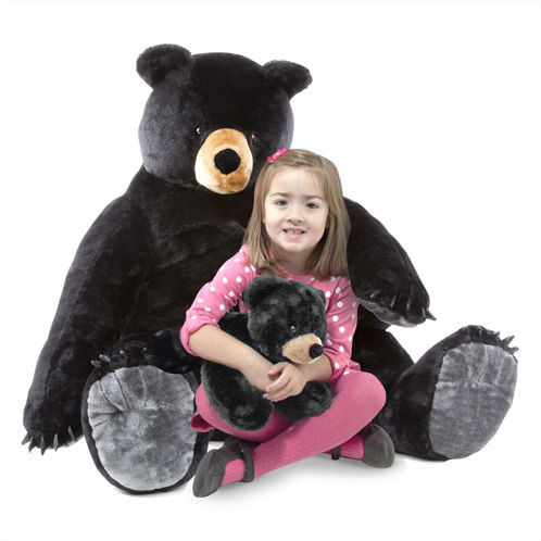 Picture of Black Bear and Cub