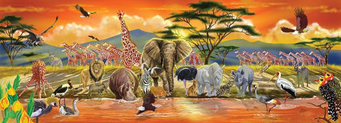 Picture of Safari