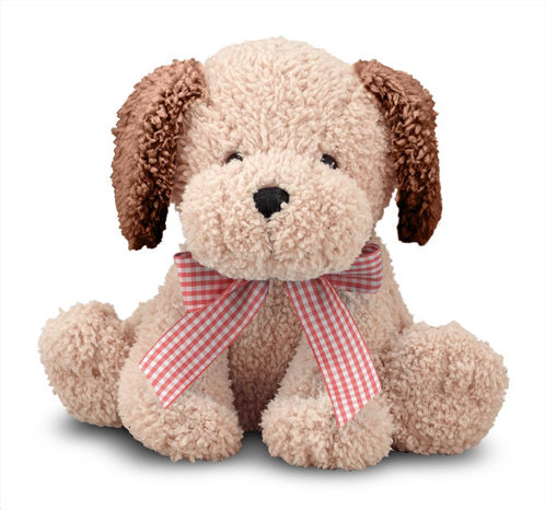 Picture of Golden Puppy