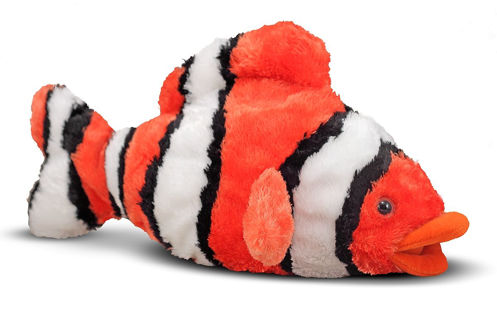 Picture of Bubbles Clown Fish