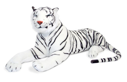Picture of White Tiger