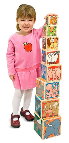 Picture of Wooden Animal Nesting Blocks