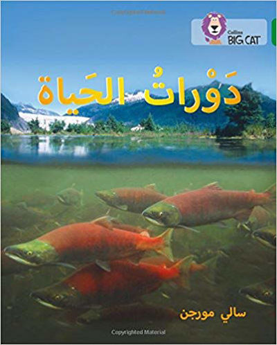 دورات الحياة