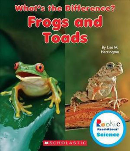Picture of FROGS AND TOADS