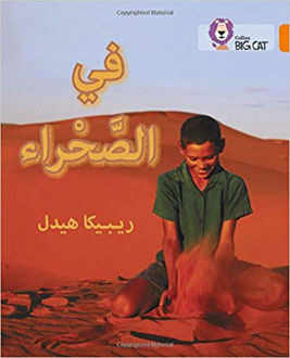 في الصحراء