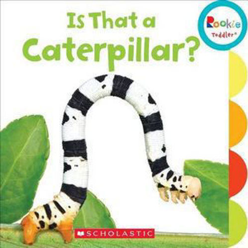 Picture of IS THAT A CATERPILLAR?