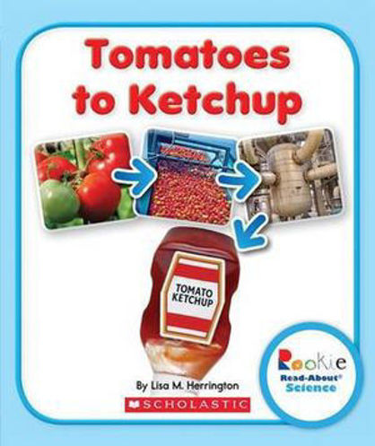 Picture of Tomatoes to ketchup