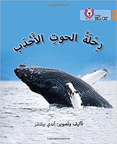 رحلة الحوت الاحدب