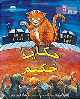 حكاية حكيم