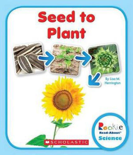 Picture of Seed to Plant