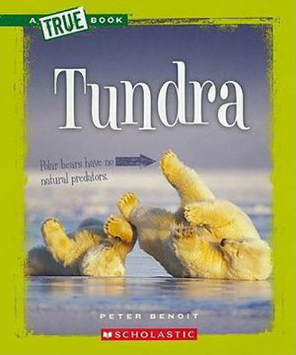 Picture of A True Book Tundra
