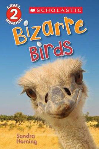 Picture of Bizarre Birds