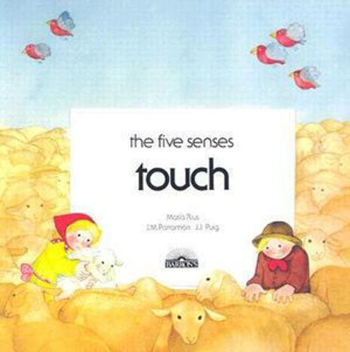 Picture of Touch The Five Senses