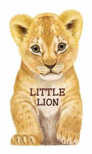 Picture of Little Lion Look at Me Books