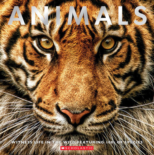 Picture of Animals : Witness life in the Wild featuring 100s of Species