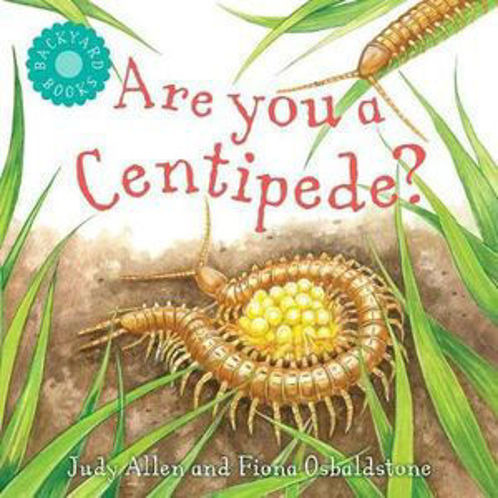 Picture of Are You a Centipede? Backyard Books
