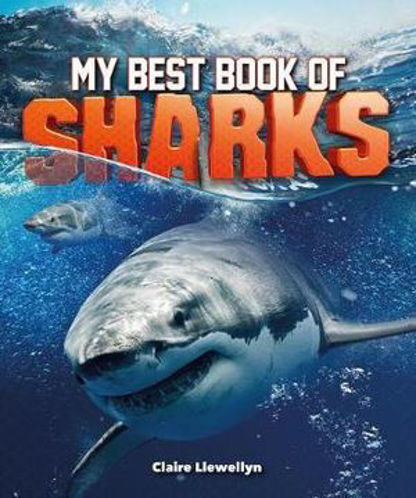 Picture of My Best Book of Sharks
