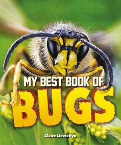 Picture of My Best Book of Bugs