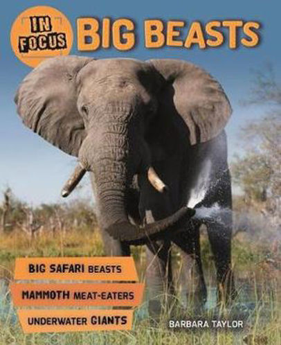 Picture of In Focus Big Beasts