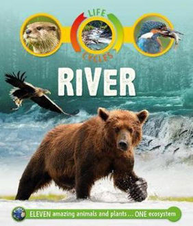 Picture of Life Cycles River
