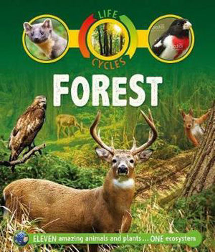 Picture of Life Cycles Forest