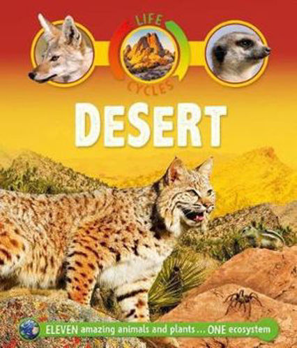 Picture of Life Cycles Desert