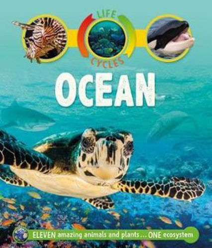 Picture of Life Cycles Ocean