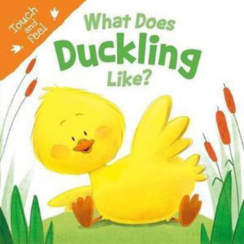 Picture of What Does Duckling Like (Touch & Feel)
