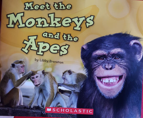 Picture of Meet the Monkeys and the Apes