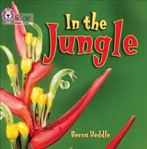 In the Jungle