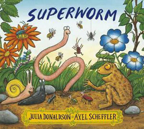 Picture of Superworm