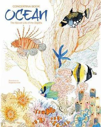 Picture of Who is Living in the Ocean