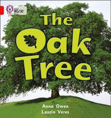 Picture of The Oak Tree