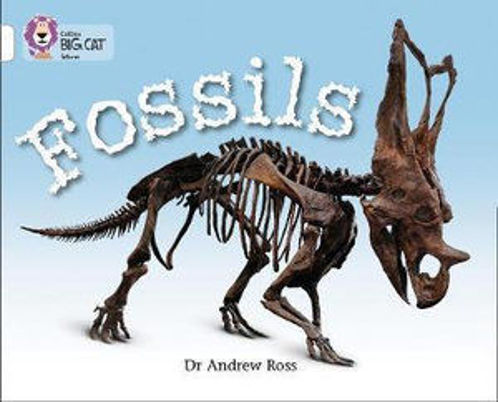 Picture of Fossils