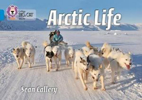 Picture of Arctic Life