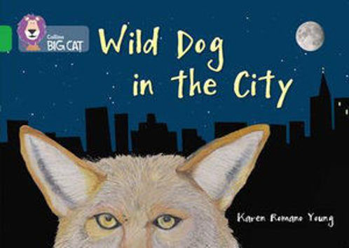 Picture of Wild Dog In The City