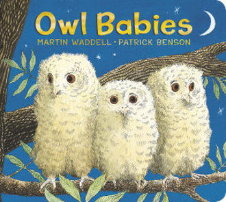 Picture of Owl Babies