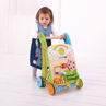 Picture of Flower Activity Walker