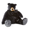 Picture of Black Bear and Cub