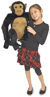 Picture of Chimpanzee plush