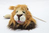 Picture of Rory the Lion Puppet
