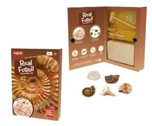 Picture of Fossil Dig kit