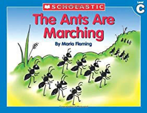 Picture of The Ants are marching