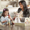 Picture of Scoop & Serve Ice Cream Counter