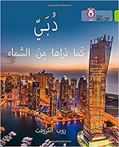 Picture of دبي كما نراها من السماء
