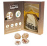 Picture of Geology Break Your Own Geodes Kit