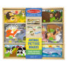 Picture of Animal Picture Boards