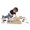 Picture of Animal Picture Boards