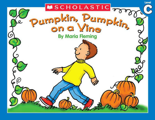 Picture of Pumpkin pumpkin on a vine