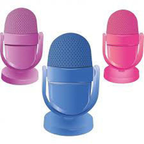 Picture of Microphone Eraser- Sharpner